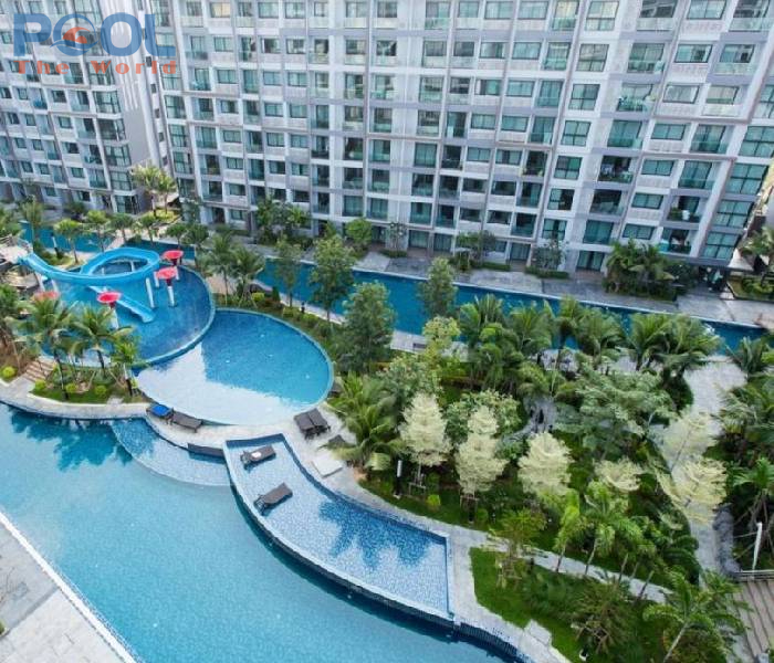 Chlorine Nhật: Hóa Chất Xử Lý Nước Hồ Bơi Hàng Đầu Hiện Nay