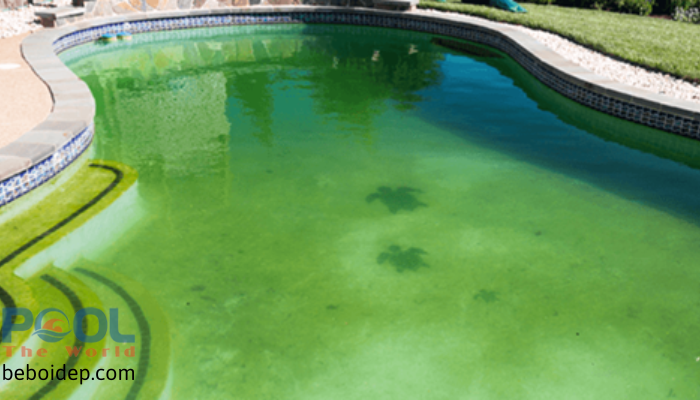 Hóa chất xử lý nước: Ngăn chặn và xử lý các loại cặn bẩn trong hồ bơi 