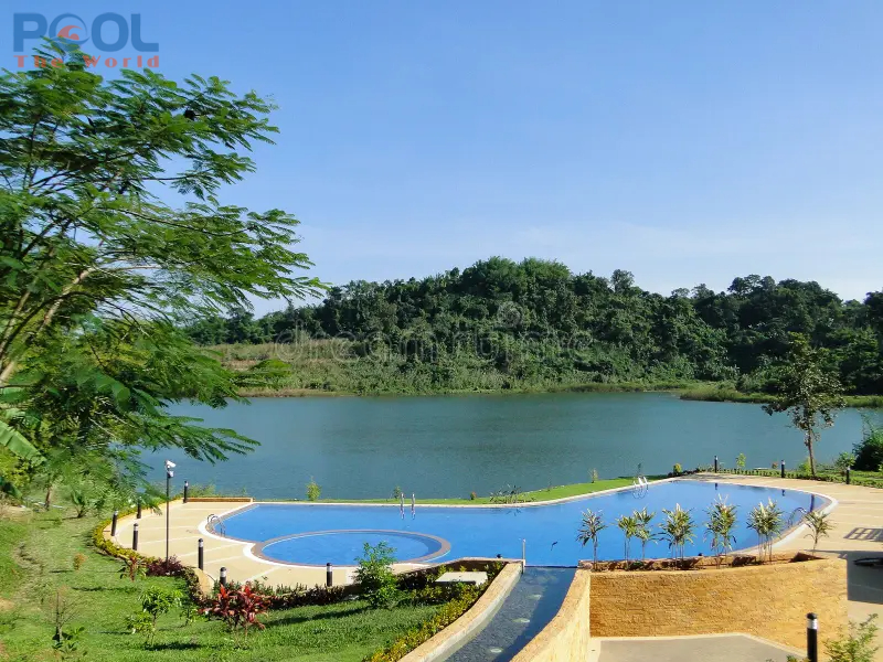 Hướng Dẫn Chọn Mua Và Sử Dụng Bàn Chải Dành Cho Hồ Bơi Đúng Cách