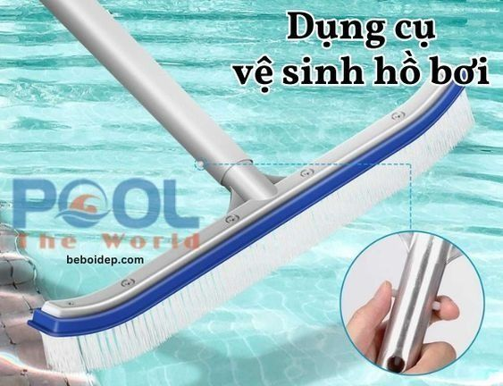 Cách Làm Sạch Hồ Bơi Hiệu Quả Với Bàn Chải Cán Nhôm Giá Rẻ