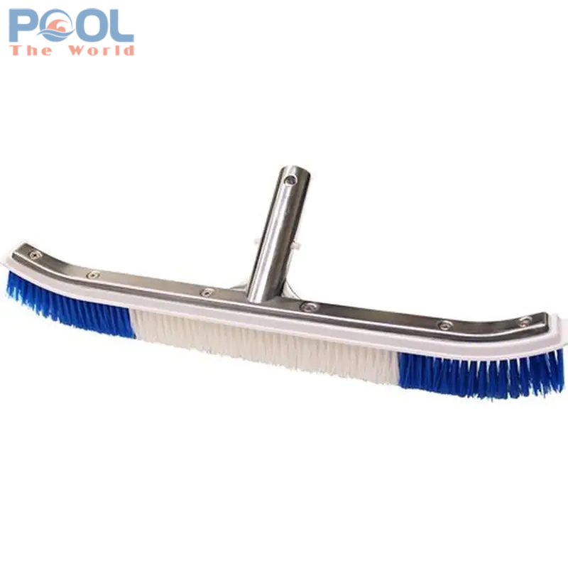 Không Phải Hóa Chất – Bàn Chải Mới Là “Vũ Khí” Làm Sạch Hồ Bơi Triệt Để