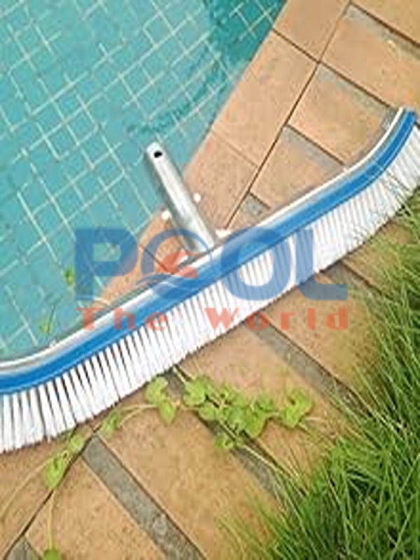 Không Còn Rêu Mốc – Bàn Chải Hồ Bơi Là Giải Pháp Sạch Đến Từng Kẽ Gạch