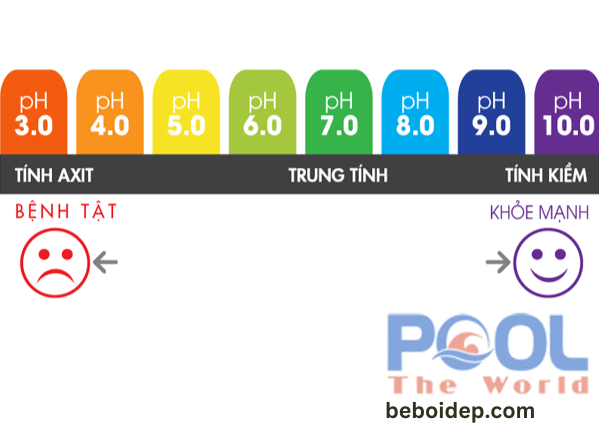 Nước có pH cân bằng giúp giảm thiểu vi khuẩn và rong rêu