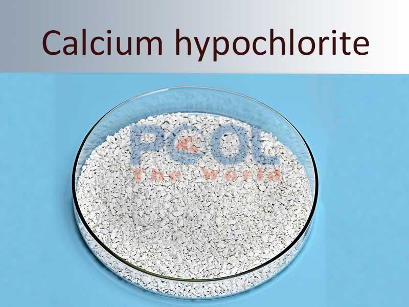 Chlorin Cá Heo 70% – Diệt Khuẩn Mạnh, Đảm Bảo Hồ Bơi Luôn An Toàn