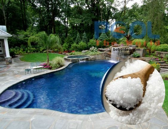 Cách sử dụng muối dùng cho hồ bơi đục, vi khuẩn sinh sôi