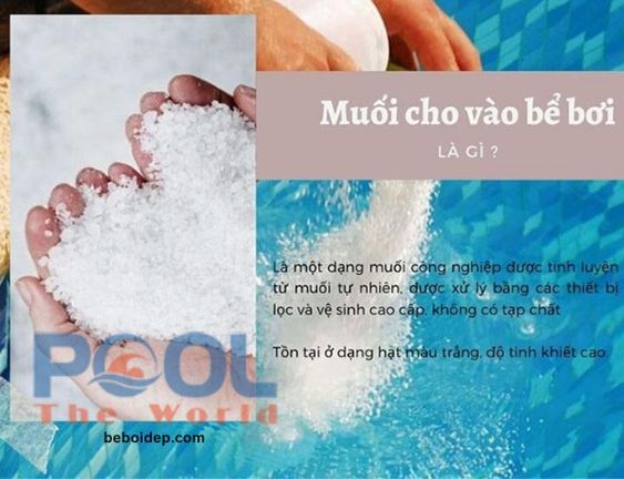 Cách sử dụng muối dùng cho hồ bơi đục, vi khuẩn sinh sôi