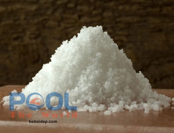 Cách sử dụng muối dùng cho hồ bơi đục, vi khuẩn sinh sôi
