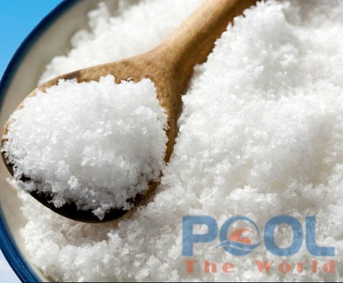 Cách sử dụng muối dùng cho hồ bơi đục, vi khuẩn sinh sôi