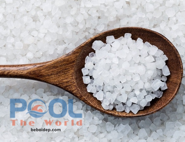 Cách sử dụng muối dùng cho hồ bơi đục, vi khuẩn sinh sôi