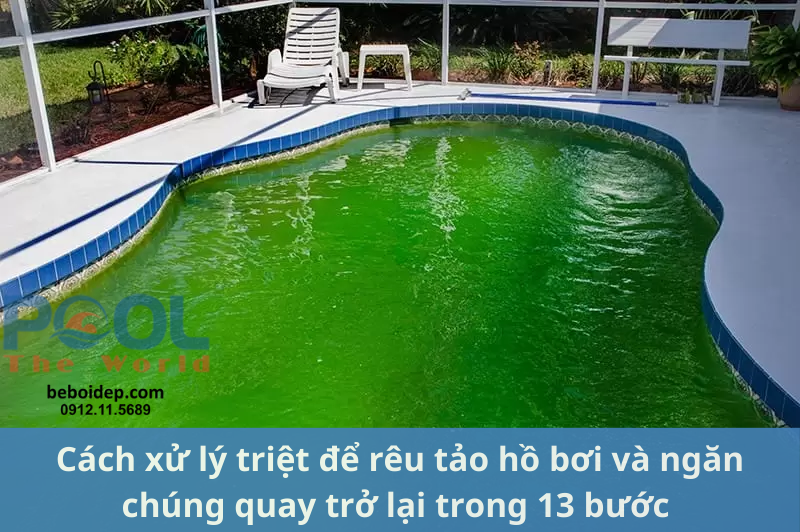 Cách xử lý triệt để rêu tảo hồ bơi và ngăn chúng quay trở lại trong 13 bước