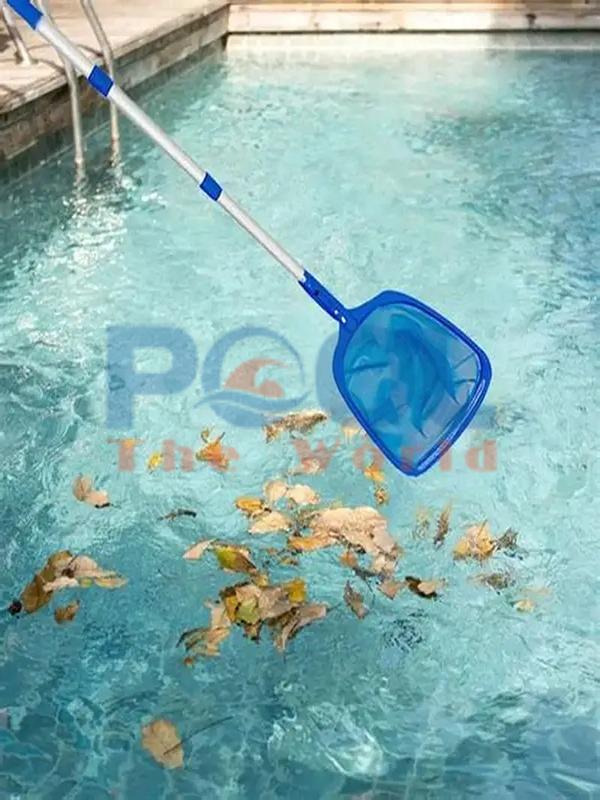 Vợt lá cây nông lòng – Công cụ tối ưu cho việc vệ sinh mặt hồ bơi