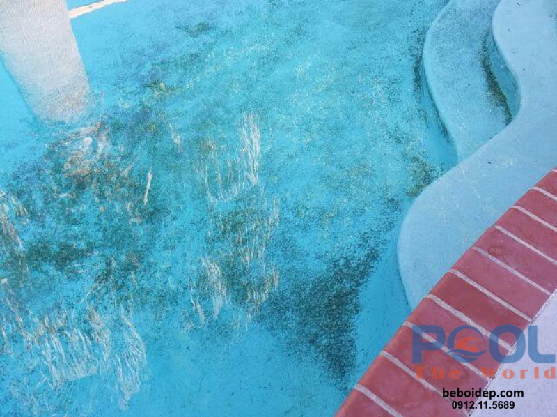 Tác dụng “kép” của chất lắng cặn: Làm trong nước và bảo vệ thiết bị lọc