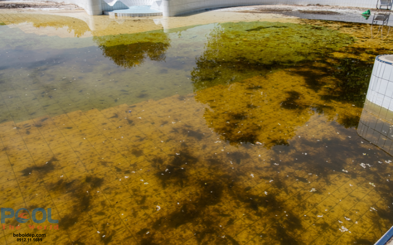 Điểm khác biệt giữa Clorine Nhật và các loại Clorine thông thường trên thị trường