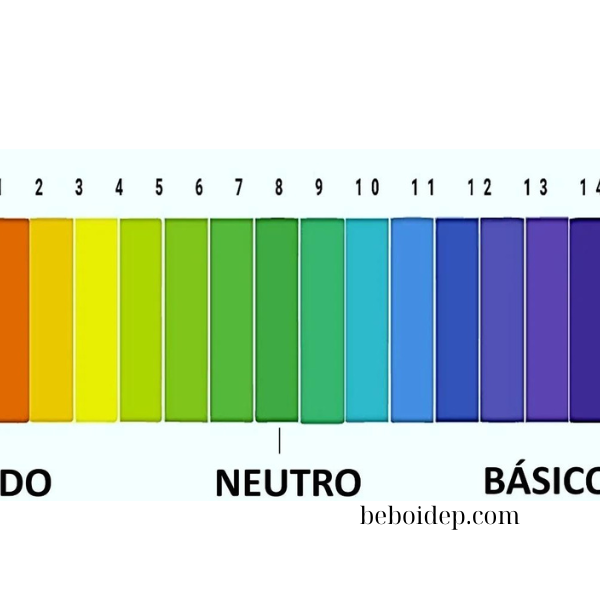 Khắc phục hồ bơi nước đục, mùi hắc nhờ test quỳ 50 que