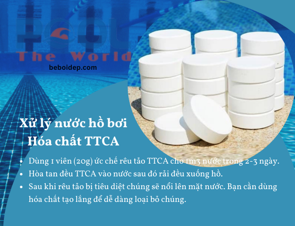 Khử trùng hồ bơi nhiều tạp chất bằng TTCA Japan 90% hạt