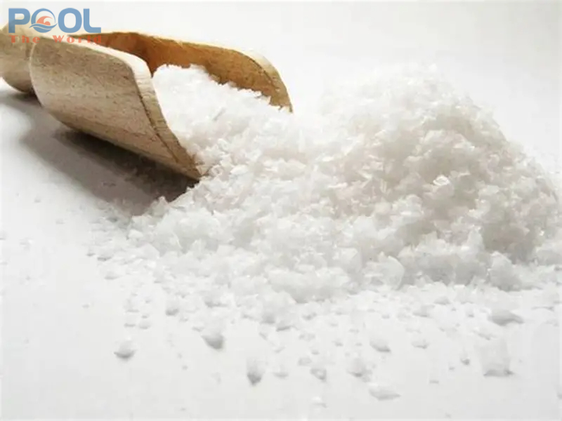 Dưới Lớp Muối Mỏng – Câu Chuyện Về Một Đại Dương Thu Nhỏ