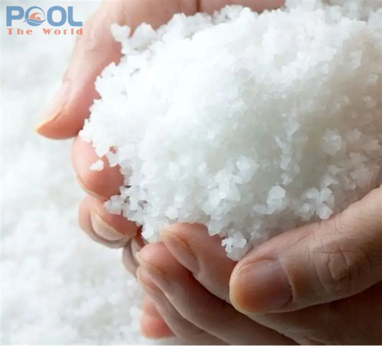 Dưới Lớp Muối Mỏng – Câu Chuyện Về Một Đại Dương Thu Nhỏ