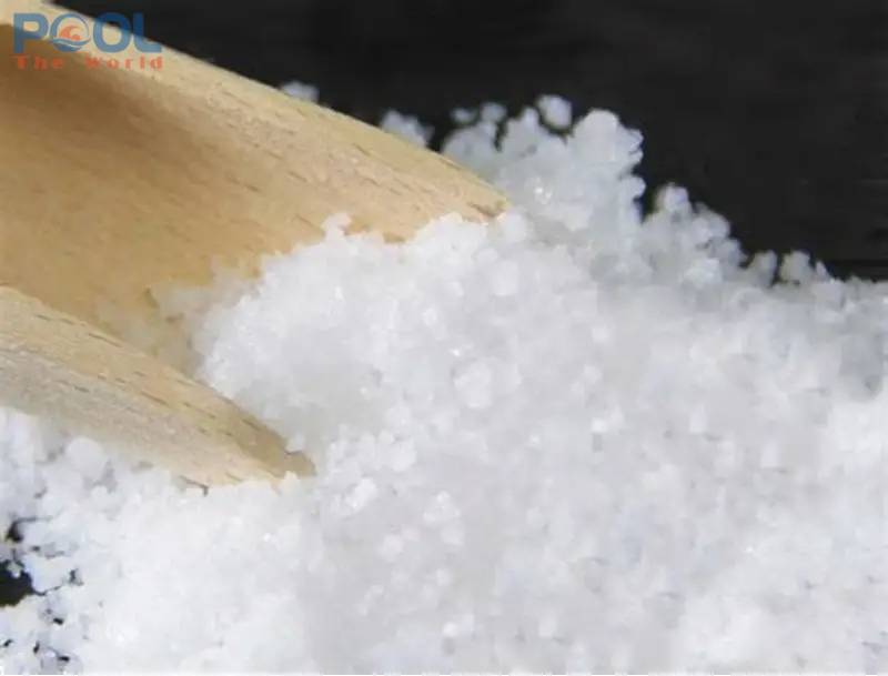 Dưới Lớp Muối Mỏng – Câu Chuyện Về Một Đại Dương Thu Nhỏ