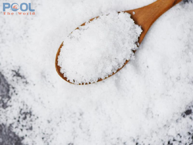 Dưới Lớp Muối Mỏng – Câu Chuyện Về Một Đại Dương Thu Nhỏ