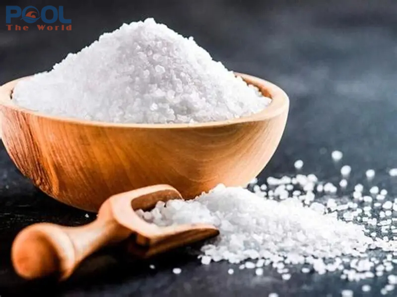 Dưới Lớp Muối Mỏng – Câu Chuyện Về Một Đại Dương Thu Nhỏ