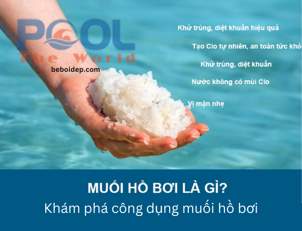 Muối hồ bơi giúp loại bỏ vi khuẩn như thế nào?