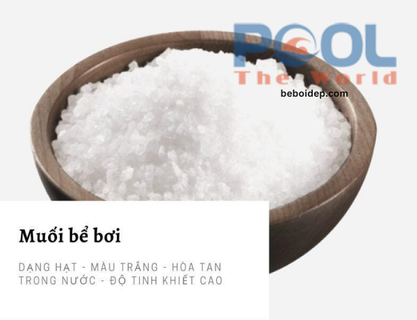 Muối hồ bơi giúp loại bỏ vi khuẩn như thế nào?