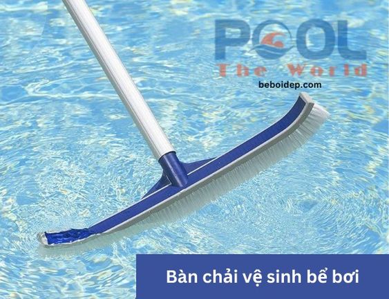 Nước đục ngầu, đáy hồ trơn trượt? Thử bàn chải hồ bơi này ngay
