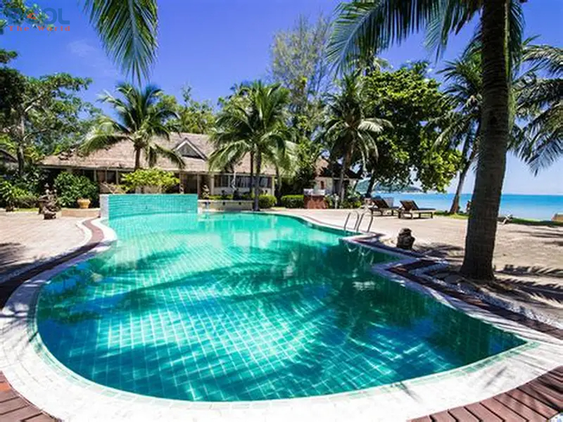 Khám Phá Công Dụng Vượt Trội Của PAC Trắng Ấn Độ Trong Xử Lý Nước Hồ Bơi