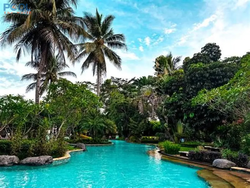 Khám Phá Công Dụng Vượt Trội Của PAC Trắng Ấn Độ Trong Xử Lý Nước Hồ Bơi