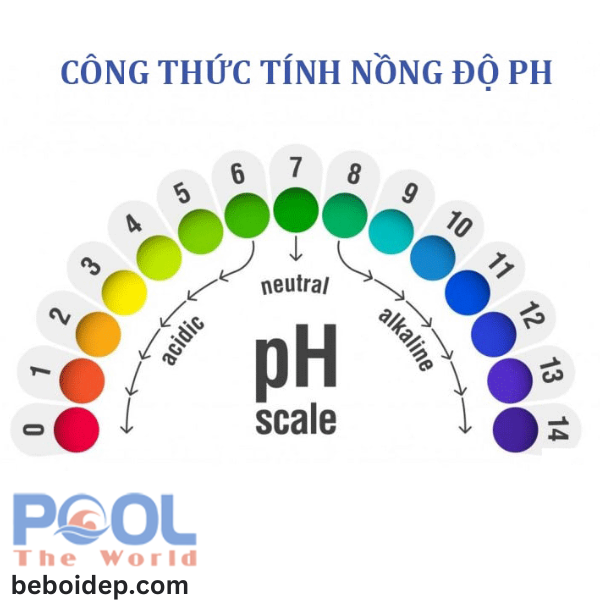 Dung dịch test pH (Phenol và Oto) - Sự khác biệt giữa kiểm tra pH và Clo dư