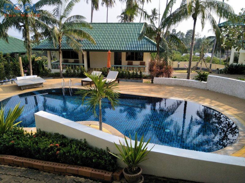 Bí mật dưới mặt nước: Góc nhìn mới về chuẩn sạch của hồ bơi