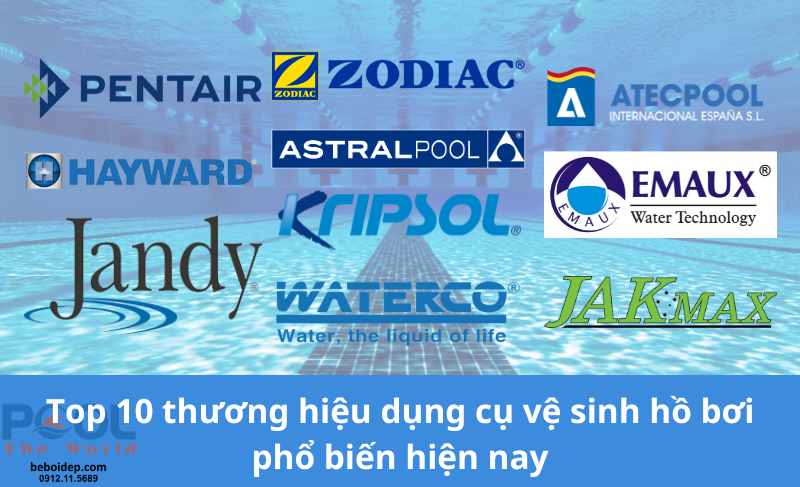 Top 10 thương hiệu dụng cụ vệ sinh hồ bơi phổ biến nhất hiện nay 