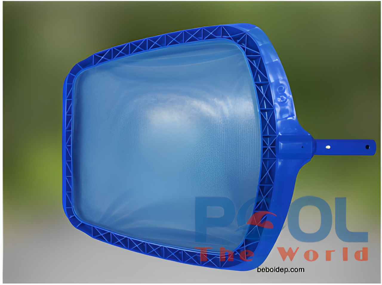 Top 5 mẹo bảo quản vợt lá cây nông lòng để sử dụng lâu dài