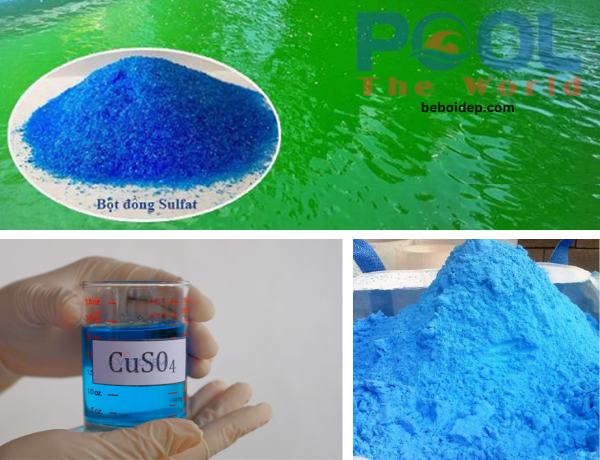 Top mẹo sử dụng đồng sunfat để diệt tảo hồ bơi