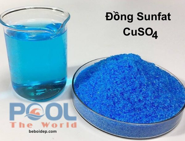 Top mẹo sử dụng đồng sunfat để diệt tảo hồ bơi
