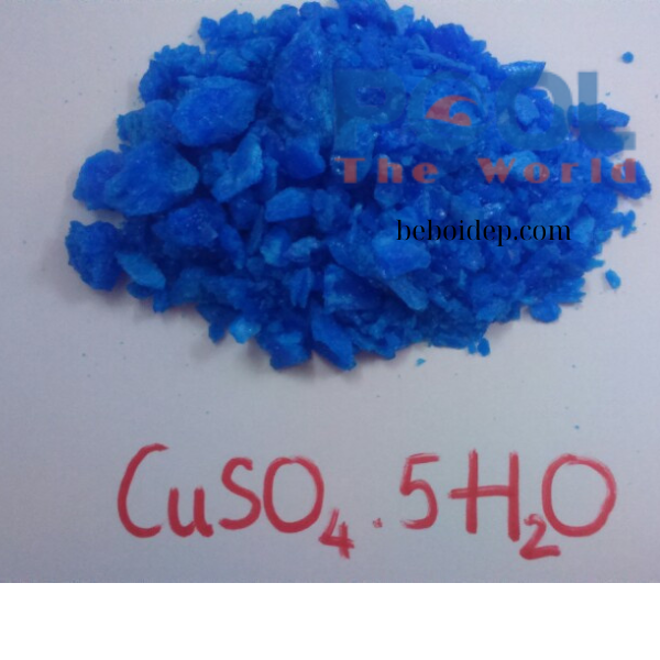 Top mẹo sử dụng đồng sunfat để diệt tảo hồ bơi