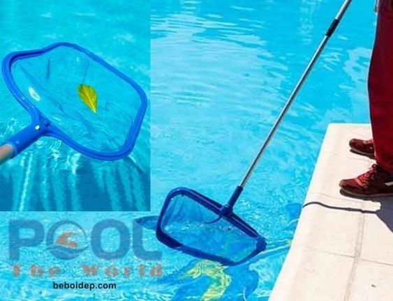 Dùng vợt vớt lá hồ bơi sai cách khiến nhanh hỏng? 5 lỗi cần tránh và bí quyết giúp bền gấp đôi