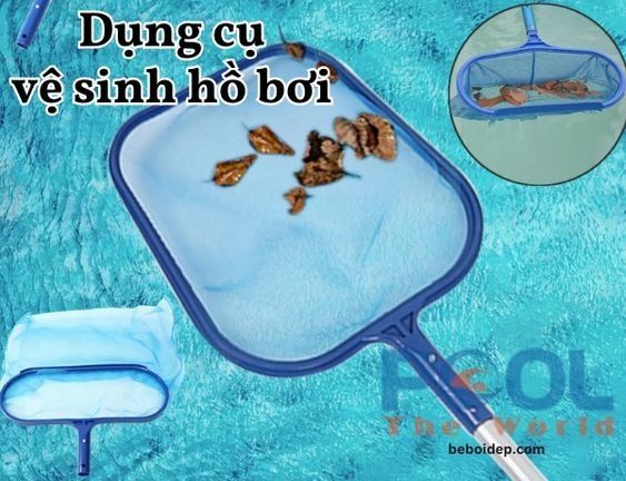 3 bước vớt lá nhanh chóng giúp hồ bơi luôn sạch mà không tốn công