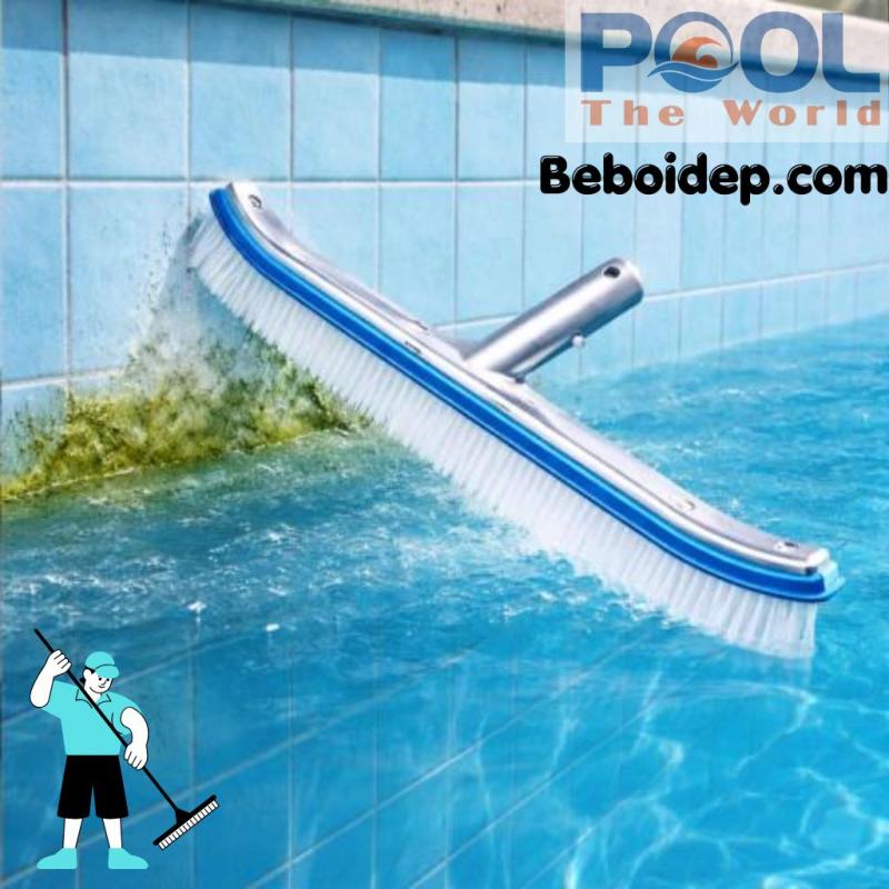 Bàn Chải Hồ Bơi Có Những Loại Nào? Cách Chọn Bàn Chải Phù Hợp