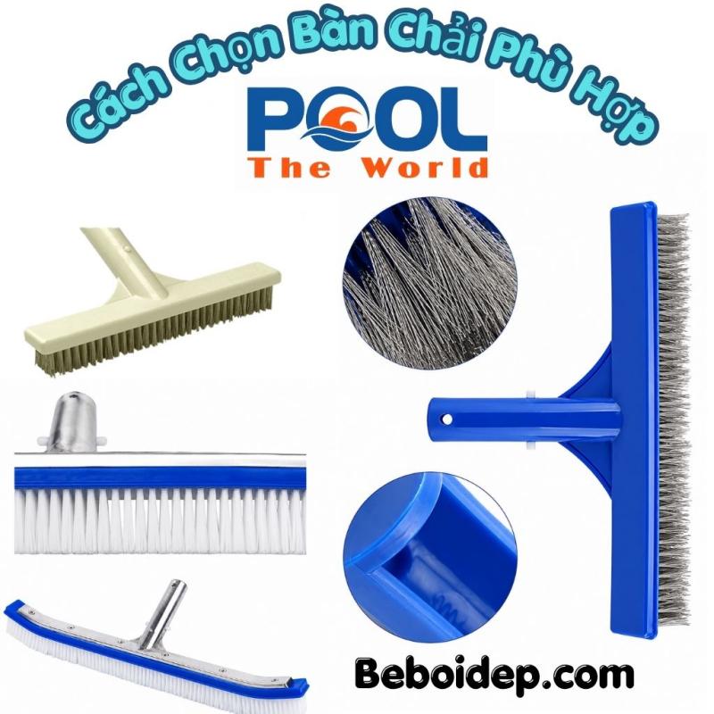 Bàn Chải Hồ Bơi Có Những Loại Nào? Cách Chọn Bàn Chải Phù Hợp