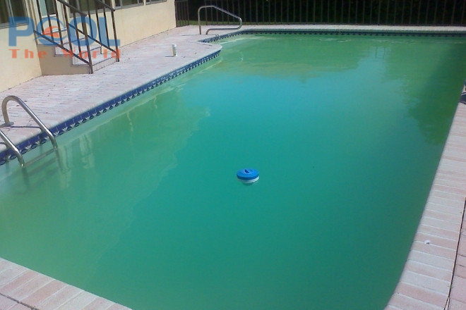 Cách làm trong nước hồ bơi bị đục 