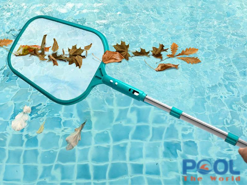 Bí Quyết Giữ Mặt Hồ Bơi Luôn Trong Xanh Sạch Rác Nhờ Phụ Kiện Vợt Lá Cây Hồ Bơi 