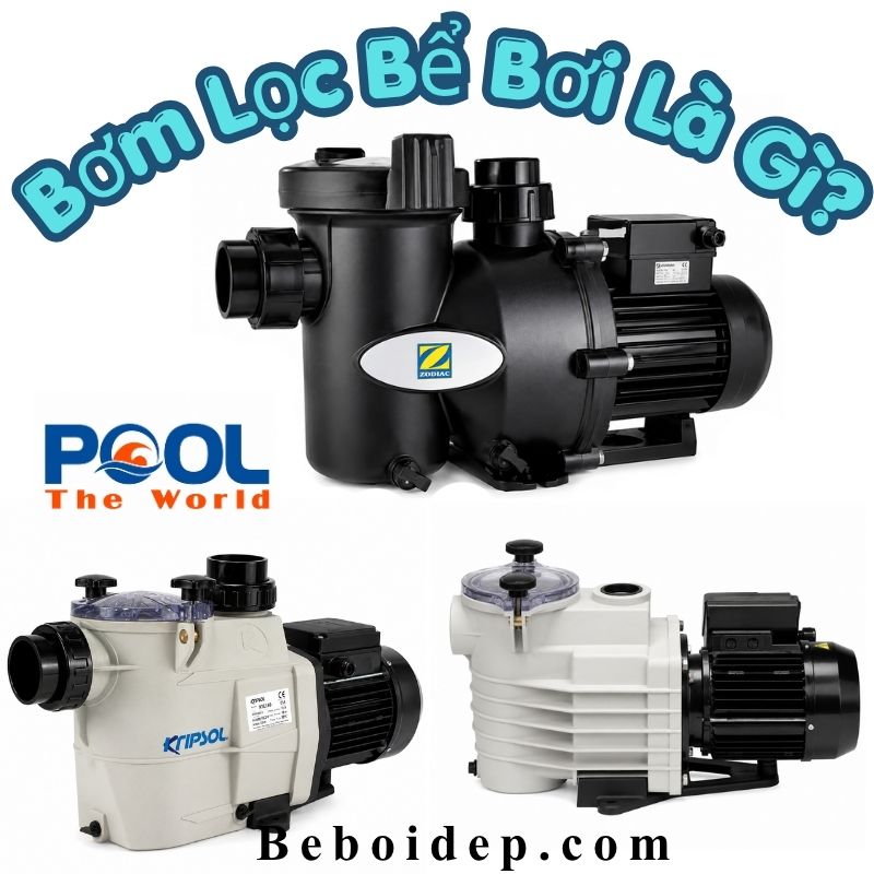 Bơm Lọc Bể Bơi Là Gì? Công Dụng, Cách Hoạt Động Và Cách Chọn Máy Bơm Phù Hợp