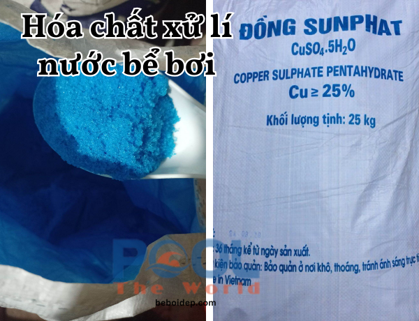 Cách pha chế đồng sulfat chuẩn kỹ thuật giúp tiêu diệt tận gốc bào tử tảo xanh