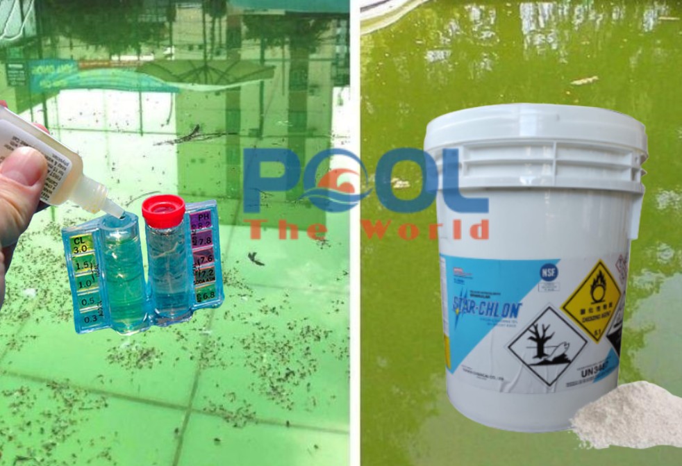 Cách sốc chlorine hồ bơi đúng liều và đúng thời điểm