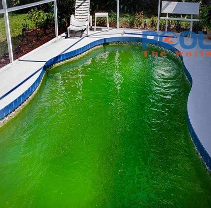 Cách sốc chlorine hồ bơi đúng liều và đúng thời điểm