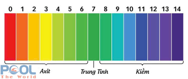 Cẩm Nang Cho Người Mới: Hồ Bơi Vừa Thi Công Xong Cần Làm Những Gì?