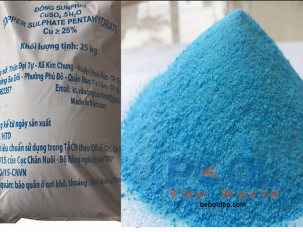 Giải Pháp Cắt Cơn Nghẹt Hệ Thống Lọc Do Xác Tảo Xanh Bằng Bột Đồng Sulfat Đậm Đặc