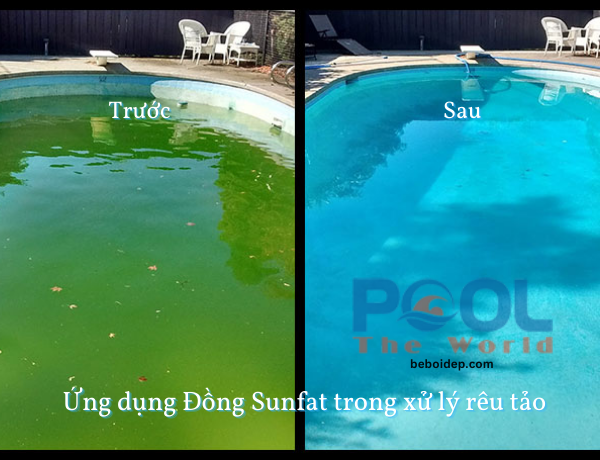 Giải Pháp Cắt Cơn Nghẹt Hệ Thống Lọc Do Xác Tảo Xanh Bằng Bột Đồng Sulfat Đậm Đặc
