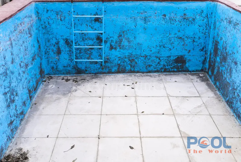 Tại Sao Hút Bụi Đáy Hồ Bơi Mãi Mà Vẫn Không Sạch Rêu Tảo?